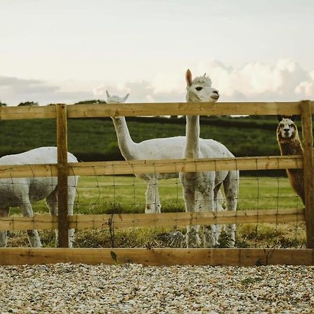 Vila The Hay Barn - Hopewell Bristol Exteriér fotografie