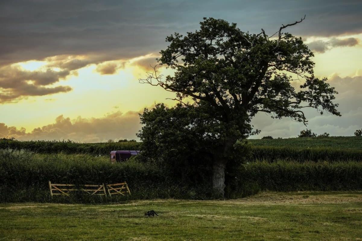 Vila The Hay Barn - Hopewell Bristol Exteriér fotografie